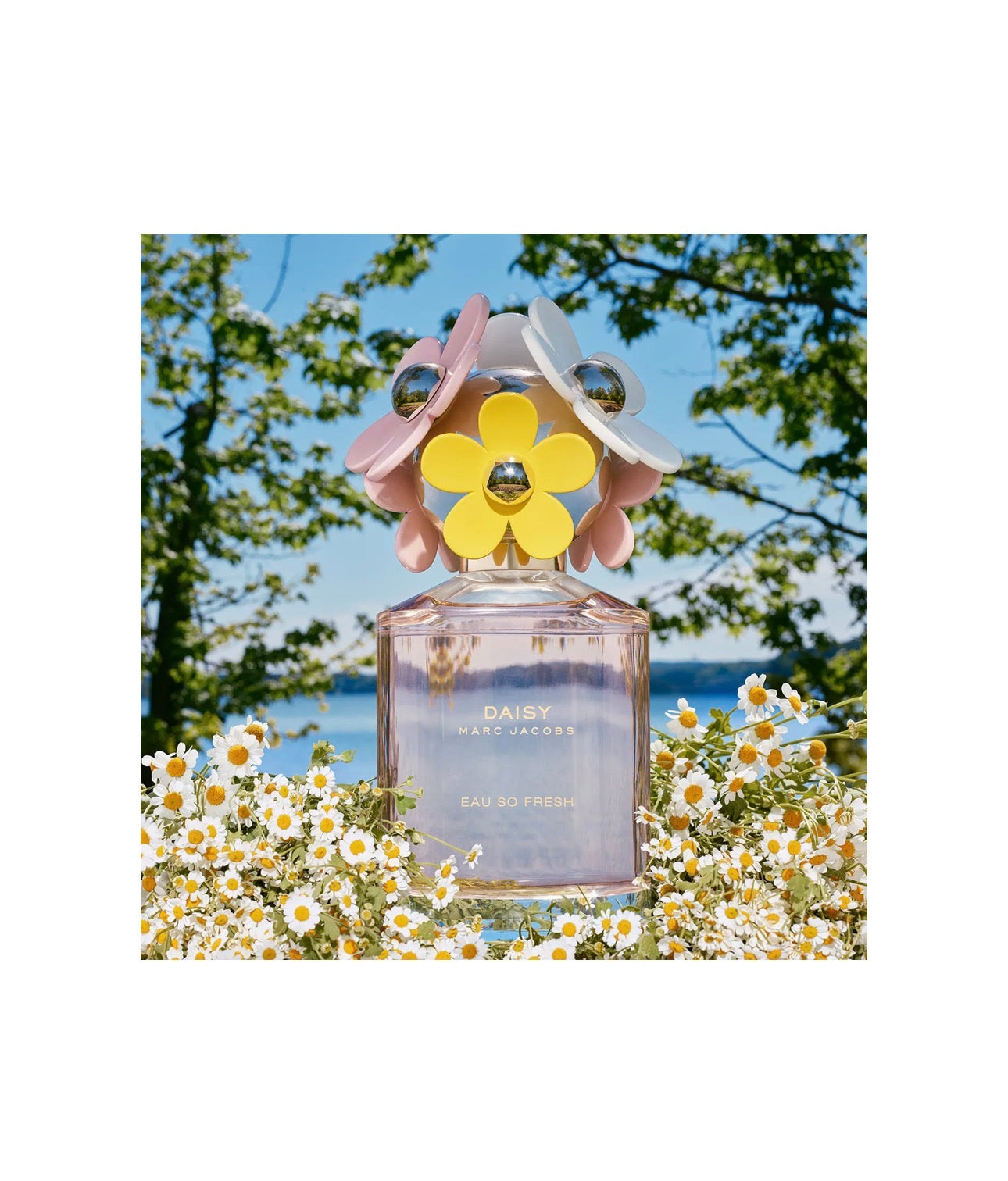 Marc Jacobs Daisy Eau So Fresh EDT 125ml (4.2 oz) – Perfume Femenino Floral y Frutal