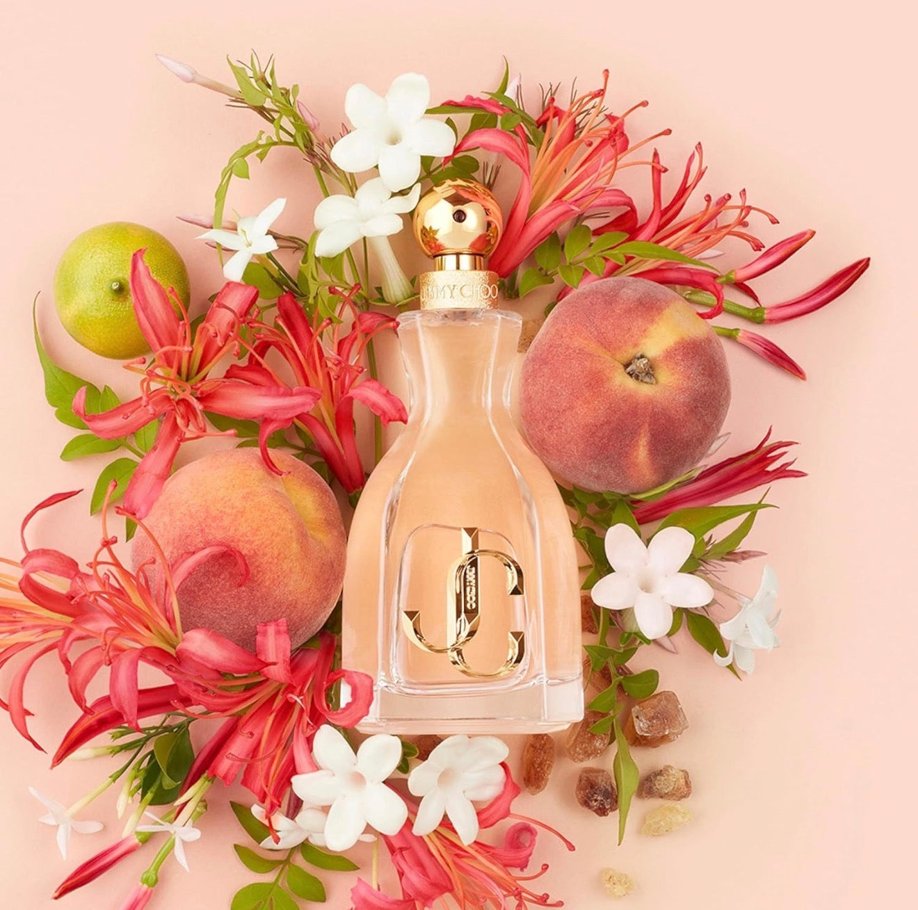Perfume Jimmy Choo I Want Choo Eau de Parfum para Mujer 100 ml Original